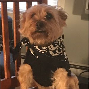 Meet your Posher, Lorrie